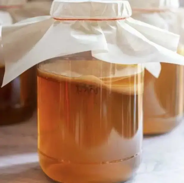 Gdzie kupić grzybek kombucha? Sprawdź najlepsze miejsca i ceny