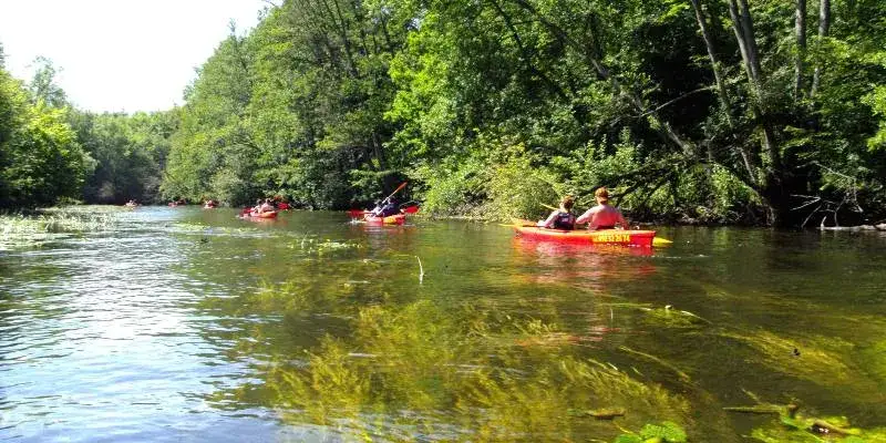 Spływ kajakowy Zachodniopomorskie: Wybierz idealny szlak!