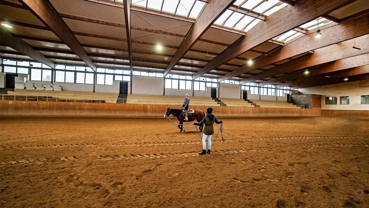 Jeździectwo Łódź: najlepsze kluby i ośrodki jazdy konnej w regionie