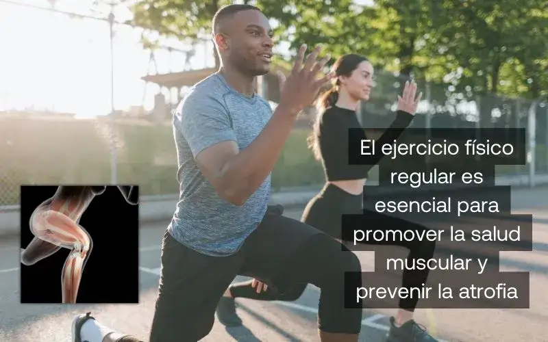 Atrofia muscular: ¿Qué es, cómo evitarla y recuperar tu fuerza?