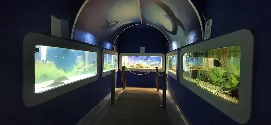 Oceanarium Łeba - Fascynujące morskie stworzenia i edukacja dla każdego