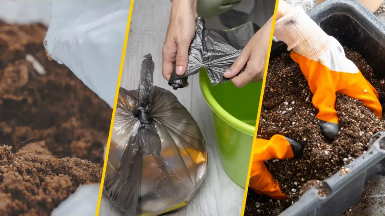 Gdzie wyrzucić ziemię z doniczki, aby uniknąć problemów z utylizacją?
