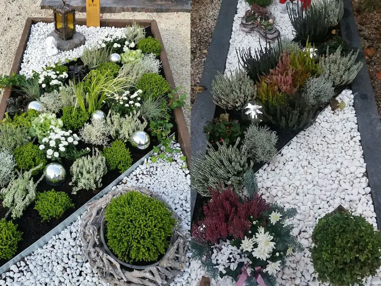 Jakie kwiaty na cmentarz jesienią? Odkryj trwałe rośliny pamięci