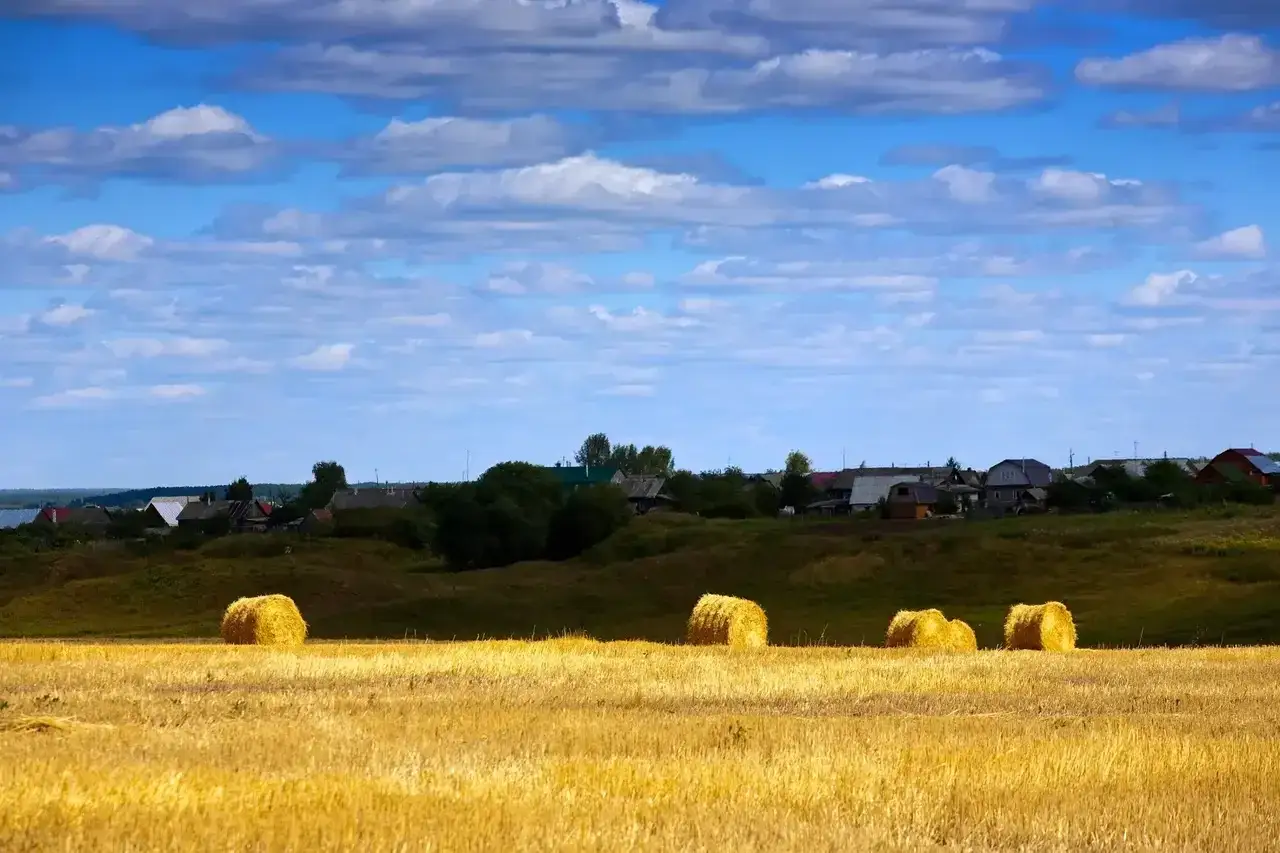 Agroturystyka czy to dobry biznes? Odkryj ukryte zyski i wyzwania