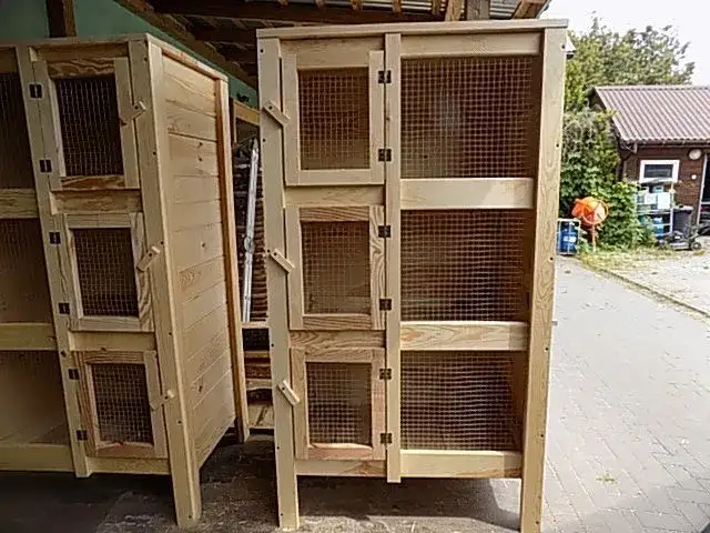 Jak zrobić klatkę dla królika - kompletna instrukcja krok po kroku