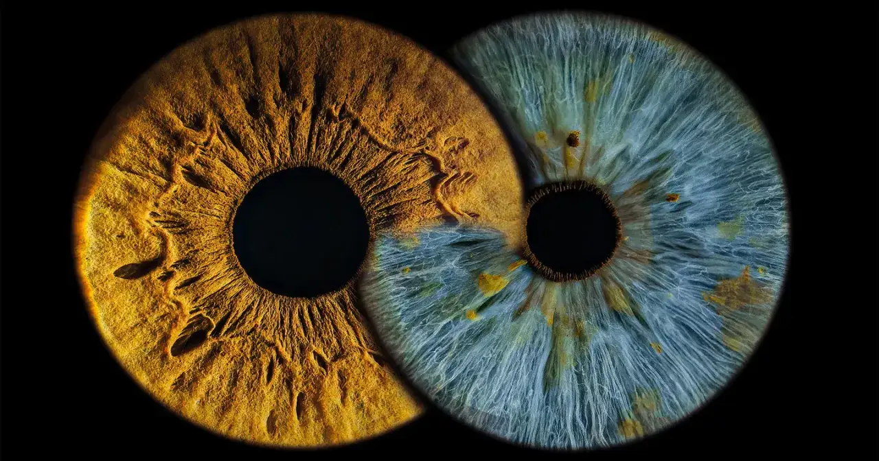 Zdjęcie tęczówki: Gdzie zrobić? Ceny, sesja, poradnik