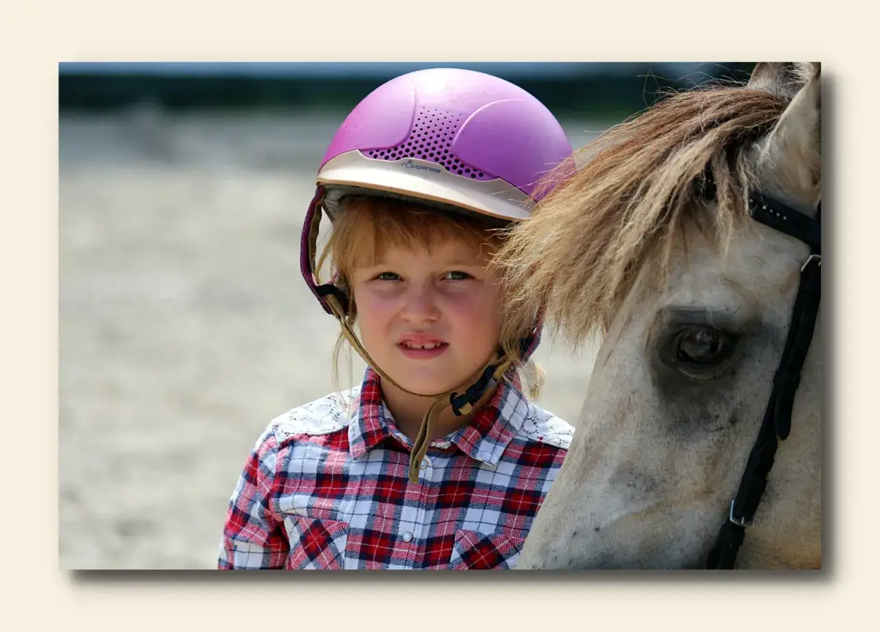 Stadnina koni Sosnowiec - wyjątkowe jazdy i terapia hipoterapeutyczna