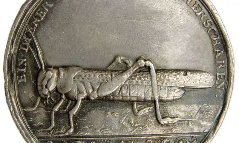 Muzeum sztuki medalierskiej we Wrocławiu – unikalne zbiory i wystawy