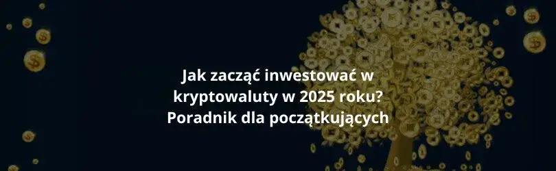 Kryptowaluty dla początkujących: Jak inwestować krok po kroku?