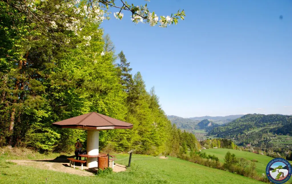 Krościenko nad Dunajcem: Gdzie zjeść? Przewodnik po smakach Pienin