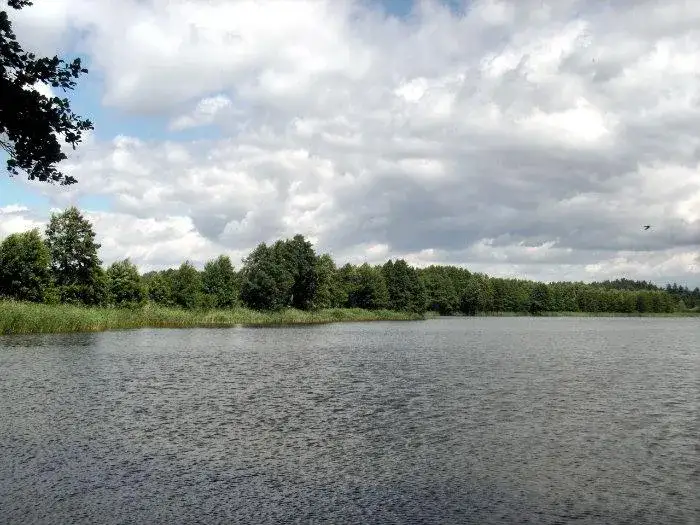 Jezioro Laskowskie – idealne miejsce na wędkowanie i relaks