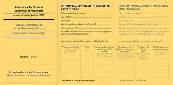 Zanzibar szczepienia i wymogi zdrowotne które powinieneś poznać