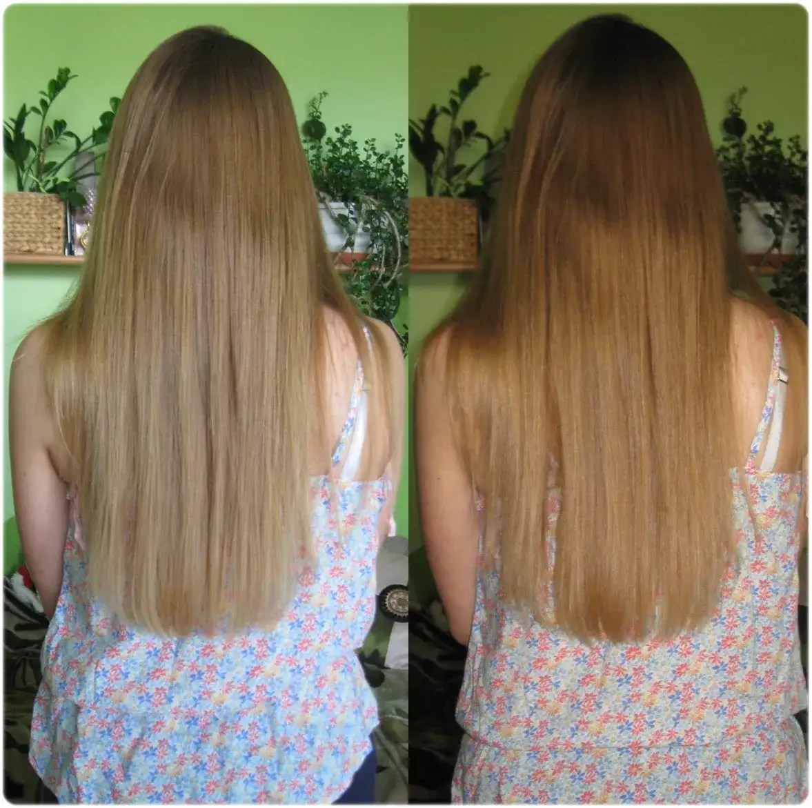 Oliwa z oliwek na włosy jak stosować, by uniknąć zniszczeń i uzyskać blask