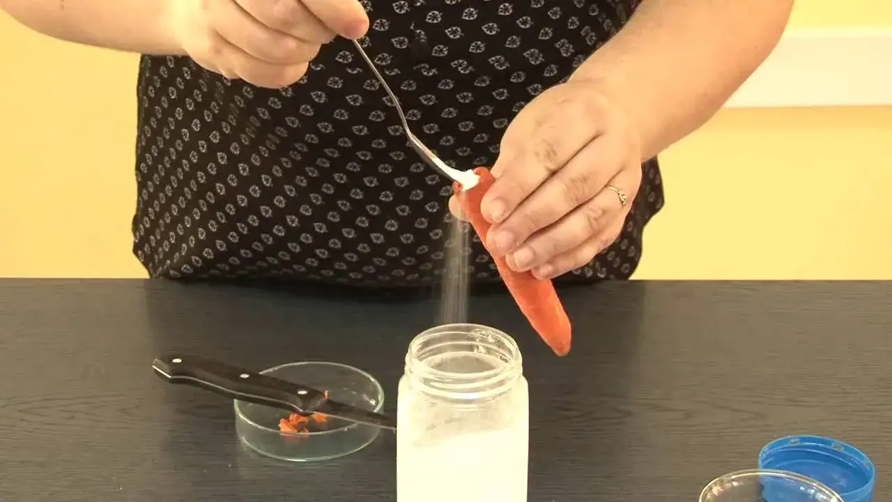 Co to osmoza w biologii? Klucz do zrozumienia życia komórkowego