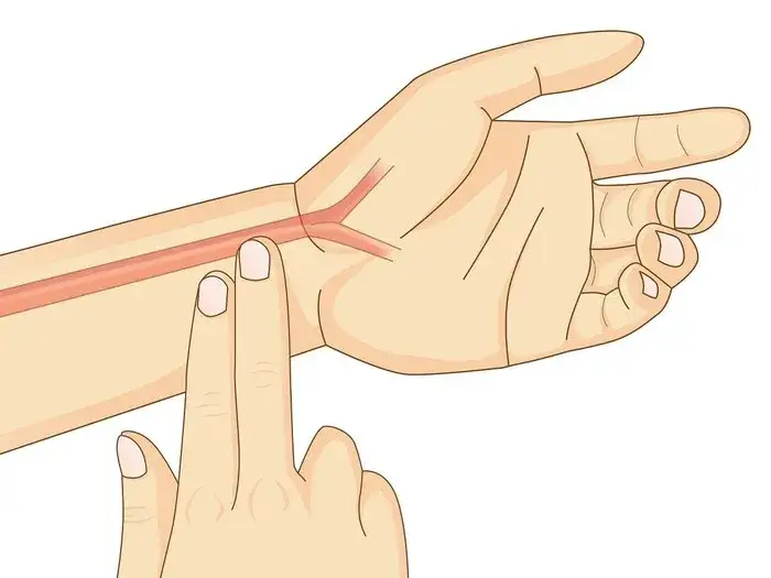 Jak zmierzyć puls? Sprawdź normy i dowiedz się, co oznaczają