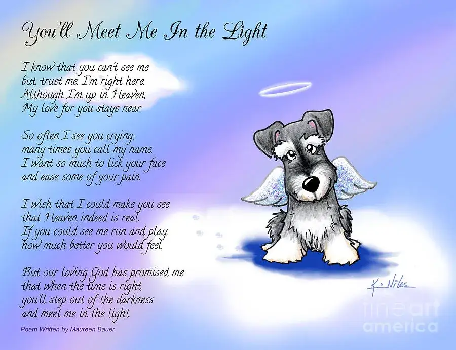 Strata psa? Tęczowy Most i słowa, które leczą Twoje serce