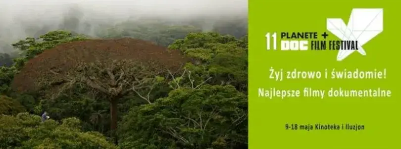 Film Był sobie las: Animowana przygoda o przyjaźni i ekologii