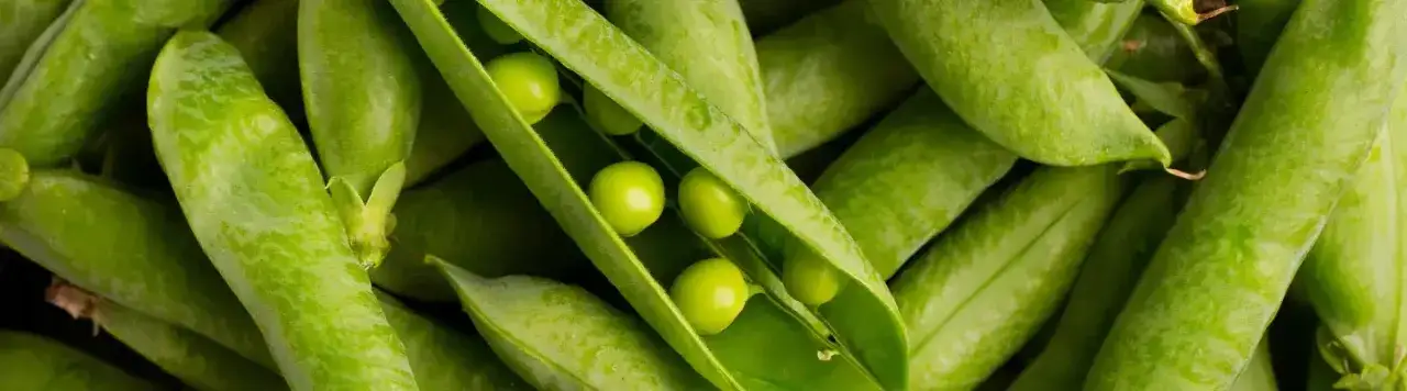 Czy groch ma gluten? Odkryj, dlaczego jest bezpieczny dla Ciebie