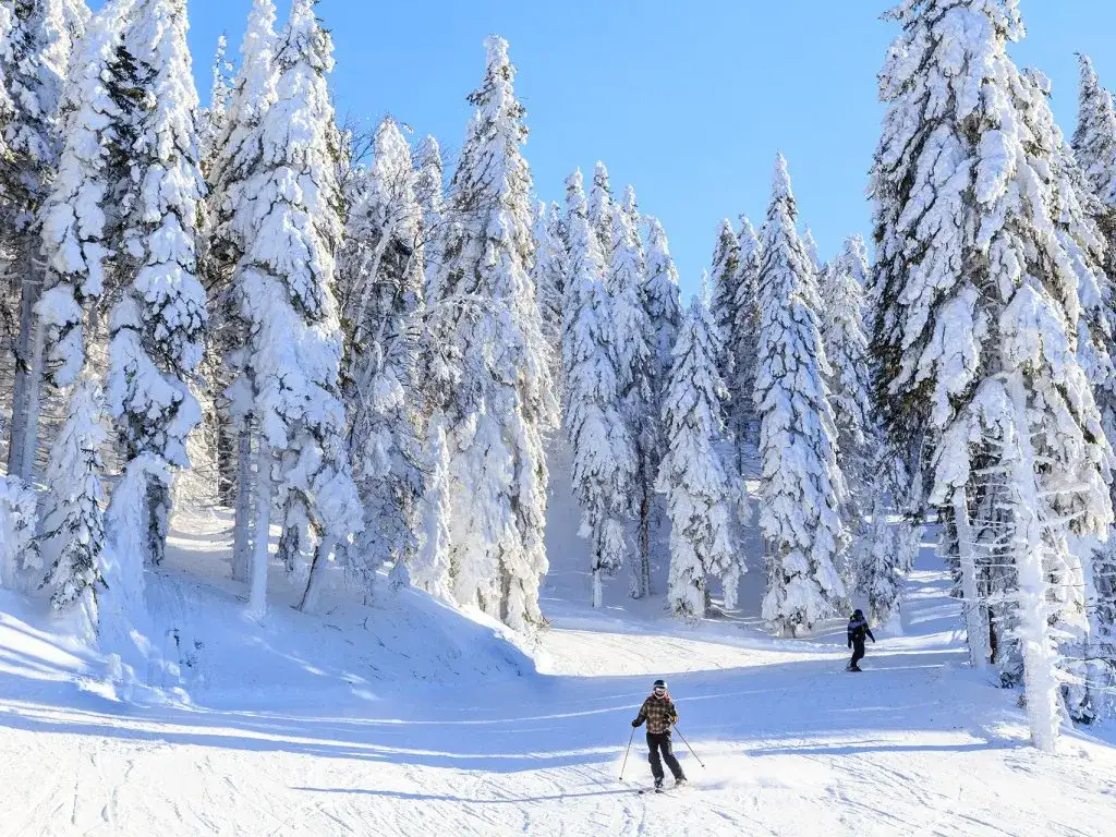 Gdzie na narty w Polsce bez tłoku? Odkryj spokojne ośrodki narciarskie