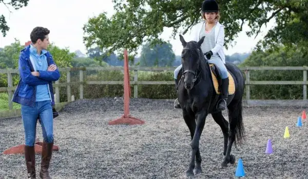 Którym koniem z "Życia w cuglach" jesteś? Odkryj swoją osobowość!