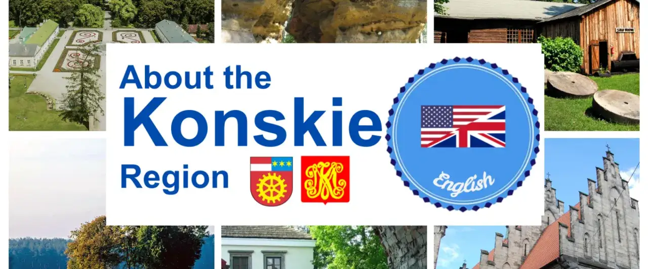 Najlepsze końskie atrakcje, które musisz zobaczyć podczas wizyty