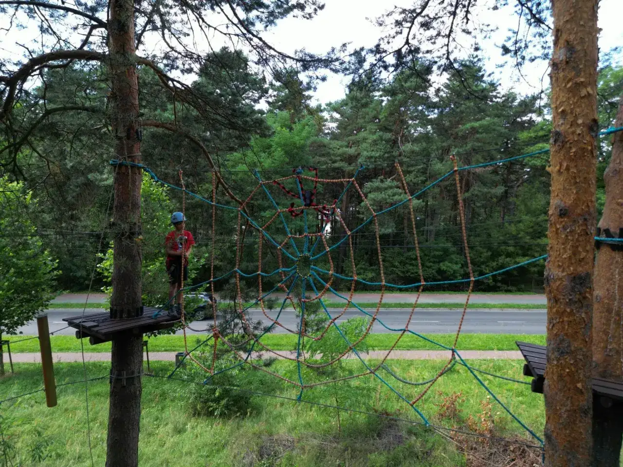 Park Linowy Jura Złoty Potok: Ceny, Trasy, Bezpieczeństwo. Idealny dla rodzin!