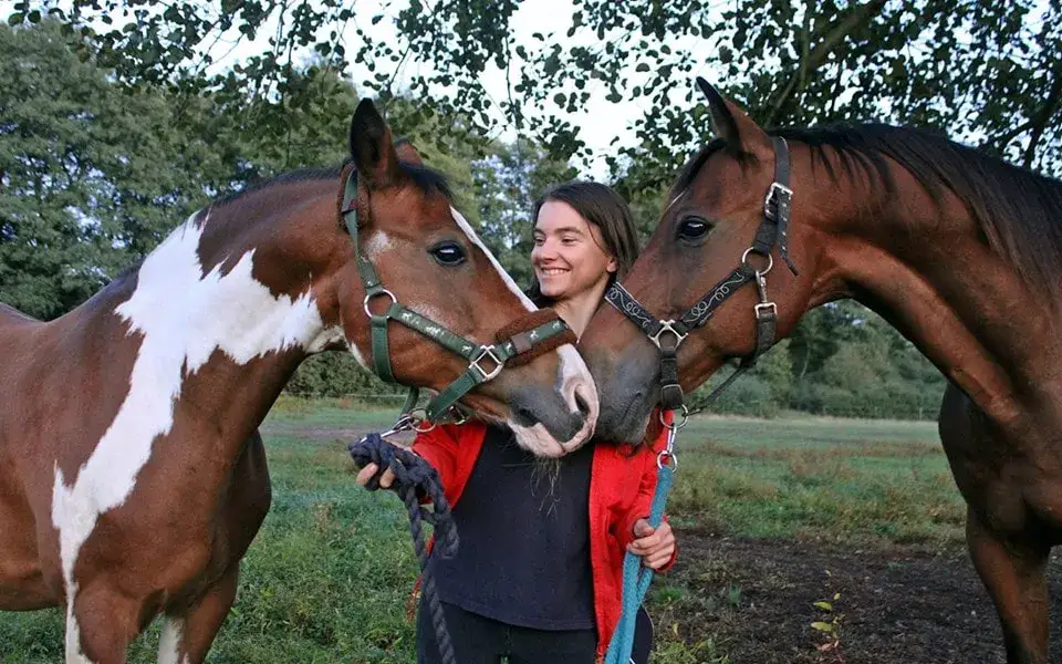 Stowarzyszenie jeździeckie Szarża - historia, działalność i członkostwo