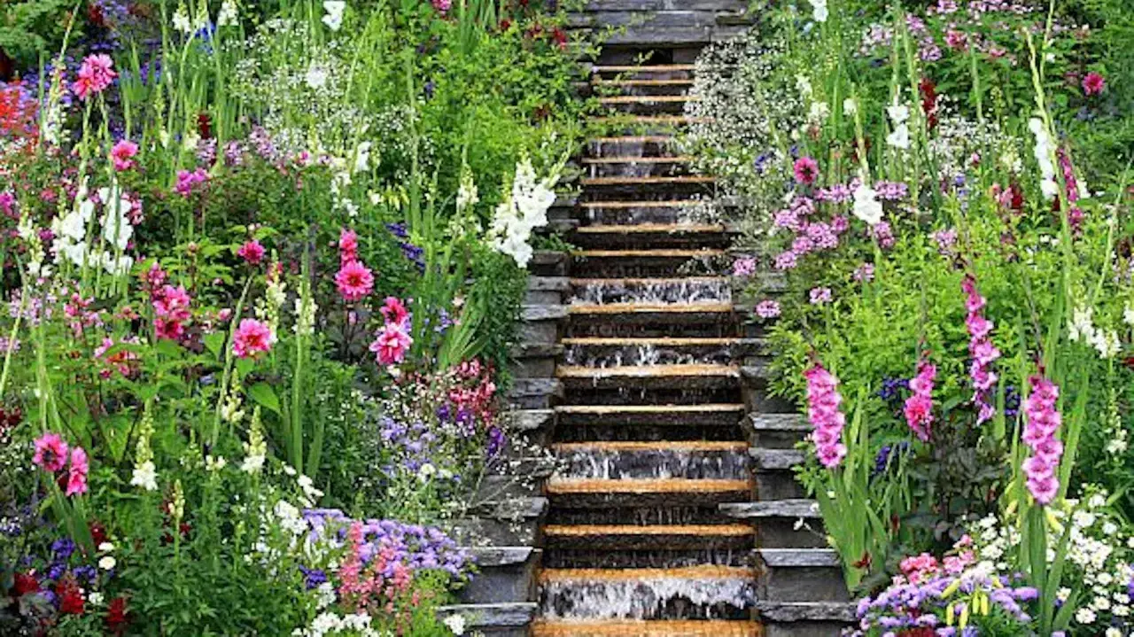 Słaba gleba to atut! Rośliny bulwiaste, które pokochają Twój ogród