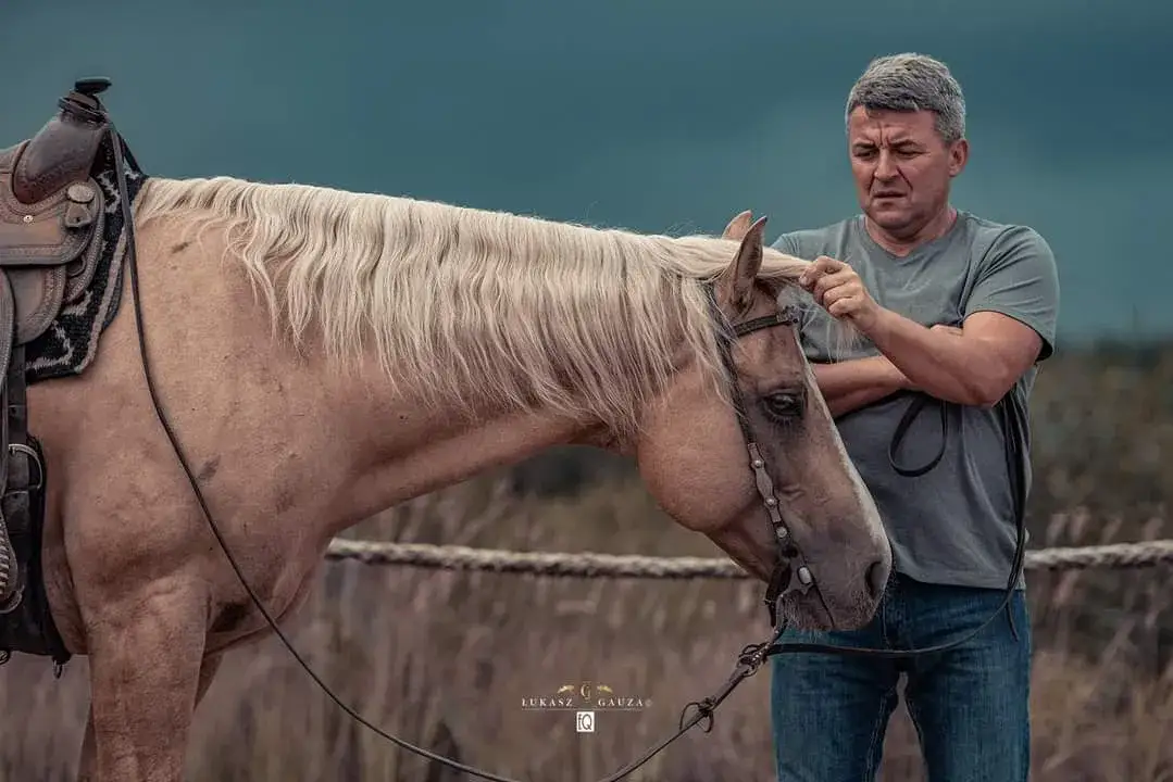 Jeździectwo westernowe: techniki, historia i różnice w stylach jazdy