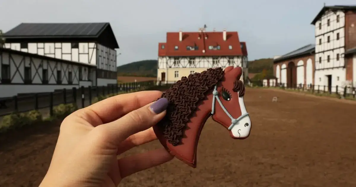 Dworzysko stadnina: historia, usługi i atrakcje jeździeckie w Szczawnie