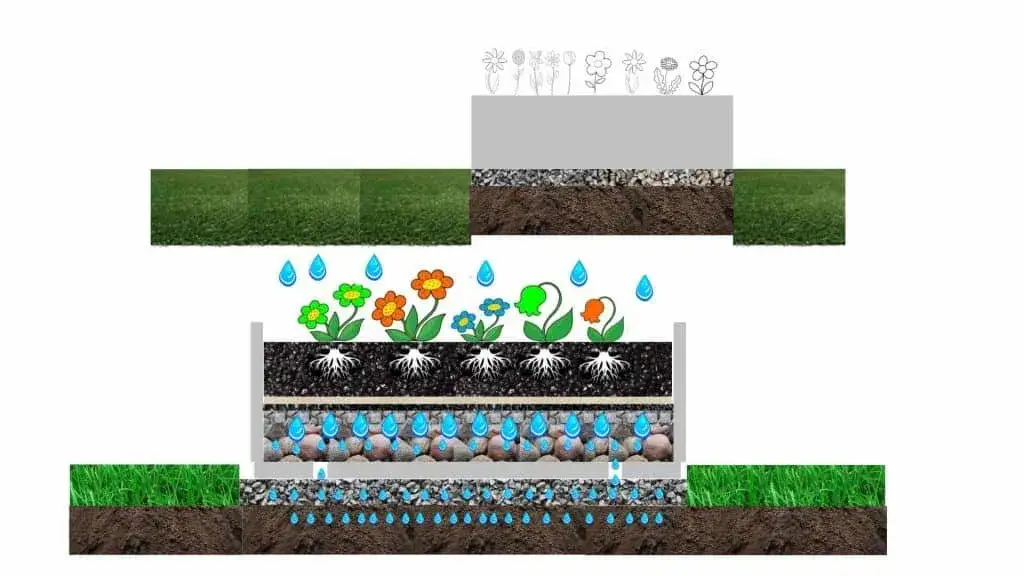 Czym wypełnić dużą donicę, aby zapewnić zdrowy wzrost roślin?