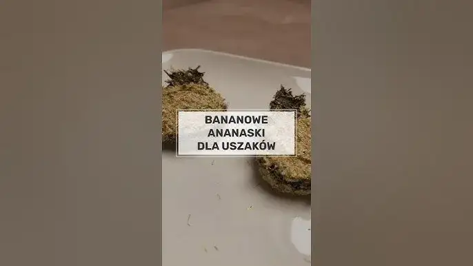 Jak zrobić ciastka dla królika, które zachwycą Twojego pupila