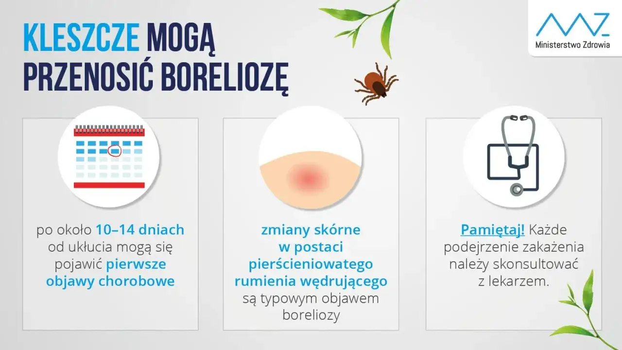 Jak zapobiec boreliozie? Ochrona przed kleszczami krok po kroku