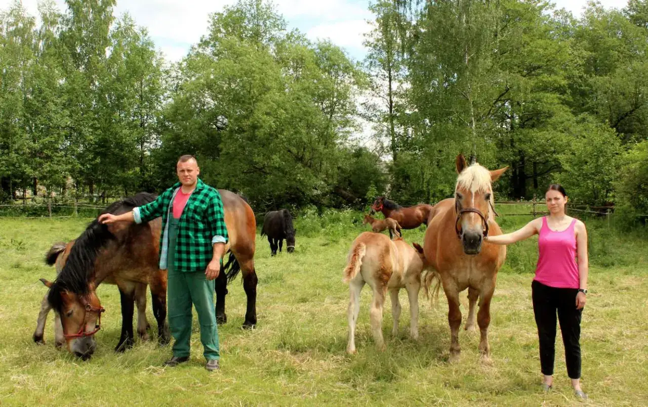 Pańskie oko konia tuczy – co to znaczy i jak wpływa na sukces?