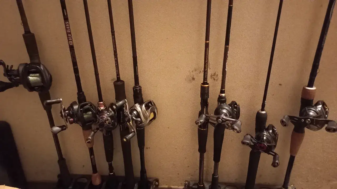 Rzędy wędek castingowych z kołowrotkami, gotowe do łowienia.