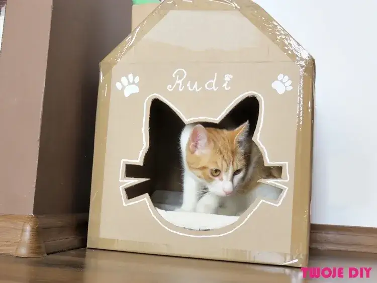 Kartonowy domek dla kota: Zrób to sam! Prosty poradnik DIY