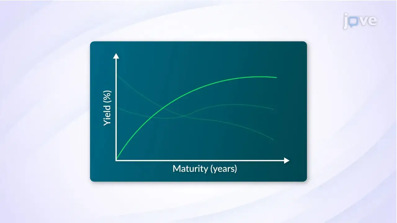 Krzywa rentowności obligacji: Jak odczytać sygnały przyszłości gospodarki?