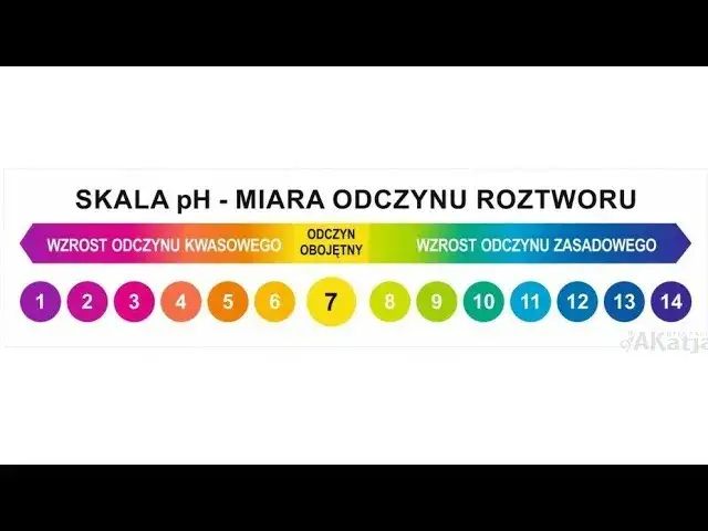 Jak obniżyć KH w akwarium? Bezpieczne metody i unikanie błędów