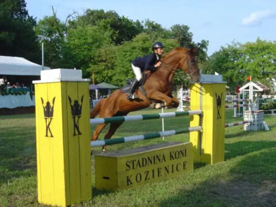 Stadnina koni Kozienice - historia, usługi i nadchodzące wydarzenia