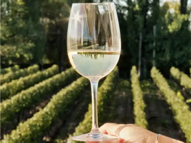 Ile kalorii ma wino? Zaskakujące fakty o kaloryczności win