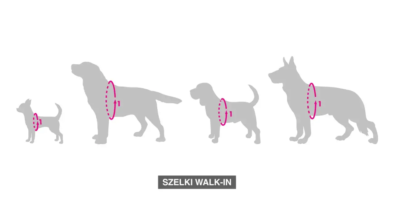 Szelki dla psa ciągnącego: Jak wybrać i spokojnie spacerować?