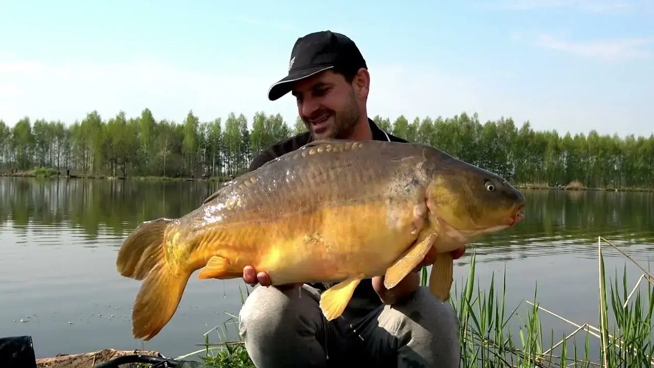 Najlepsza zanęta feeder bait: skuteczne przynęty dla wędkarzy