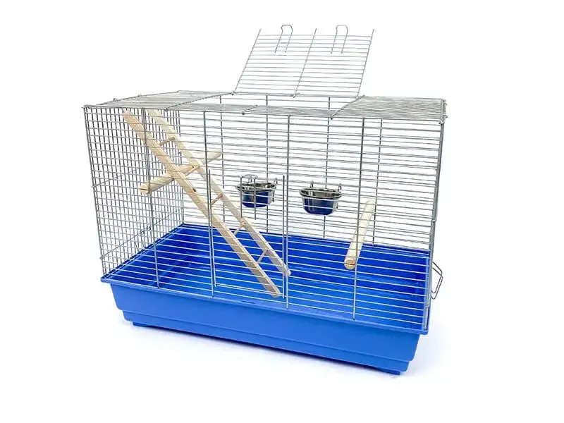 Jaka klatka dla zeberek zapewni im zdrowe i szczęśliwe życie?