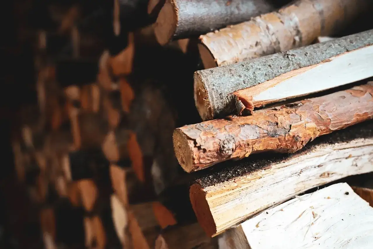 Stos drewna opałowego, idealny do sprawdzenia, jak sprawdzić wilgotność drewna. Różne rodzaje drewna, niektóre z korą, inne bez.