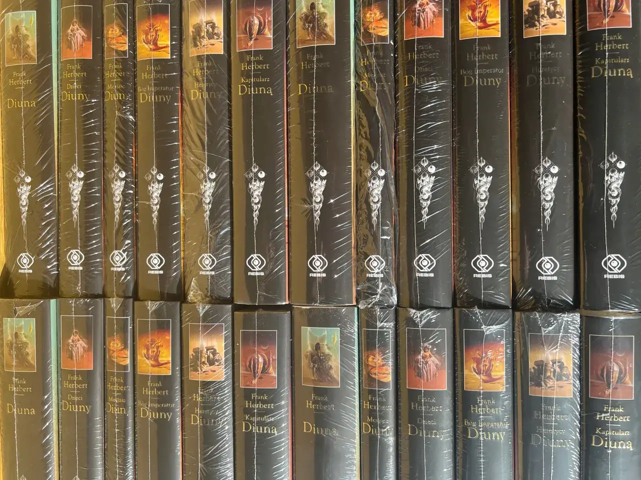 Ile tomów ma seria Diuna? Poznaj wszystkie książki Franka Herberta