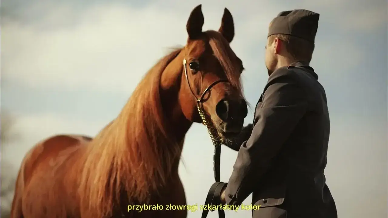 Stadnina koni Posadowo: Historia, skandal i dziedzictwo kulturowe