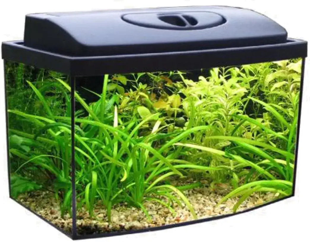 Akwarium 25l: Ile rybek? Uniknij błędów, wybierz mądrze!