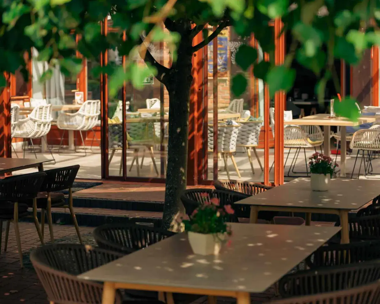 Gdańsk Oliwa gdzie zjeść - najlepsze restauracje na każdą kieszeń