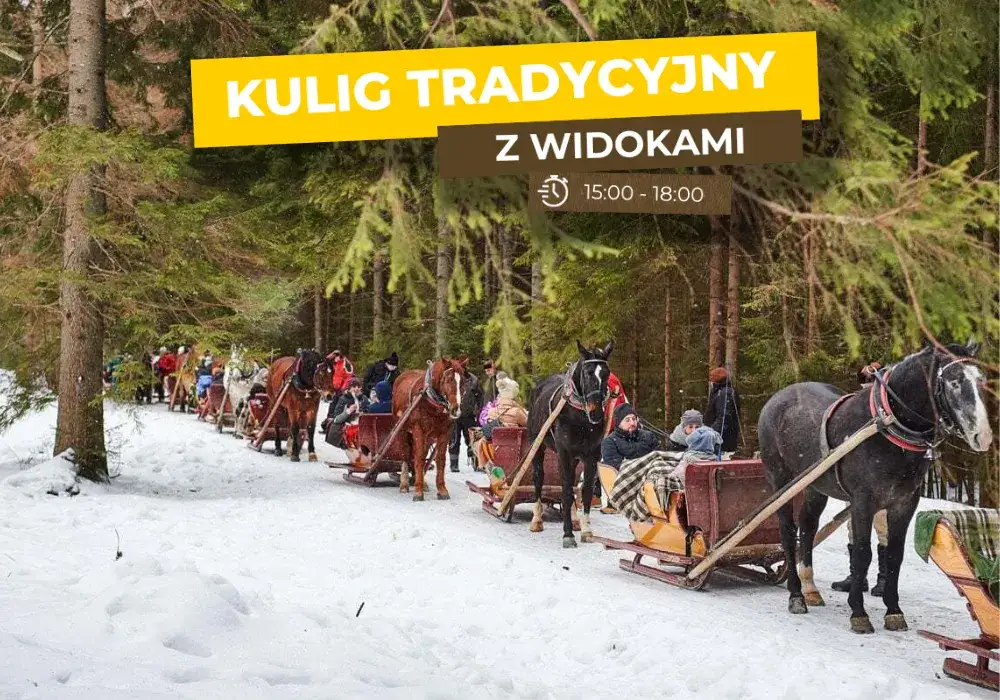 Wszystko o kuligach w Dolinie Kościeliskiej: atrakcje, ceny i rezerwacja 2024