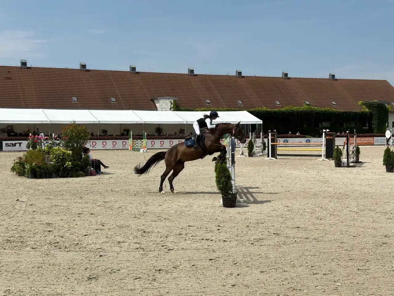 Zawody jeździeckie w Polsce: Odkryj różnorodność i emocje rywalizacji